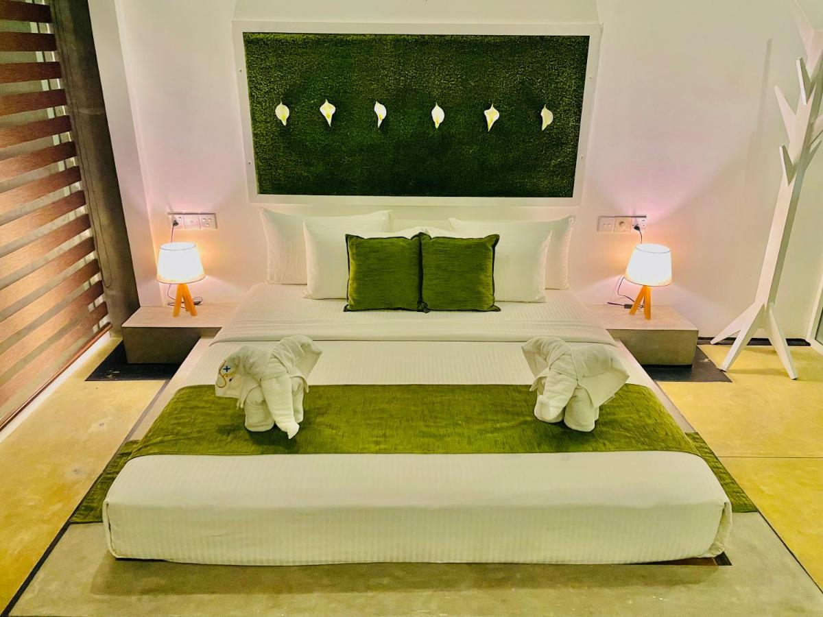 8 Plus Motels Negombo Exterior foto